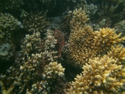 PICT0578