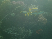 PICT0581