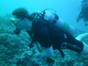 PICT0591