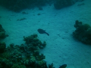 PICT0599