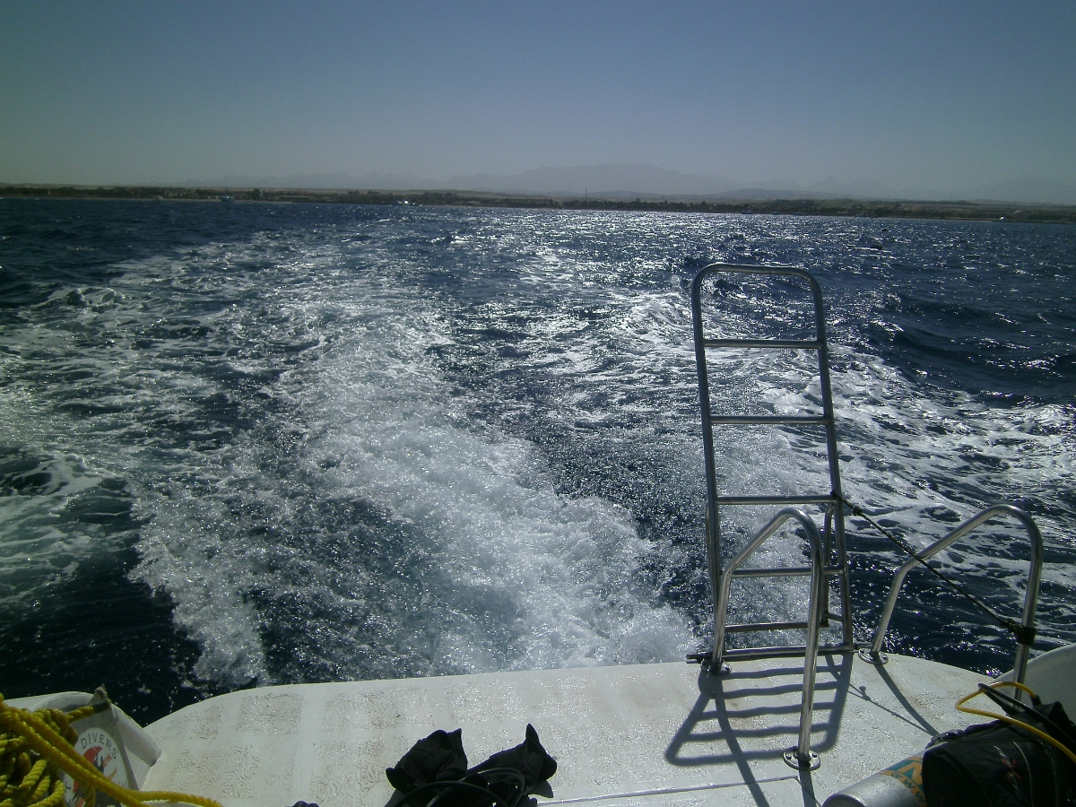 PICT0611.JPG