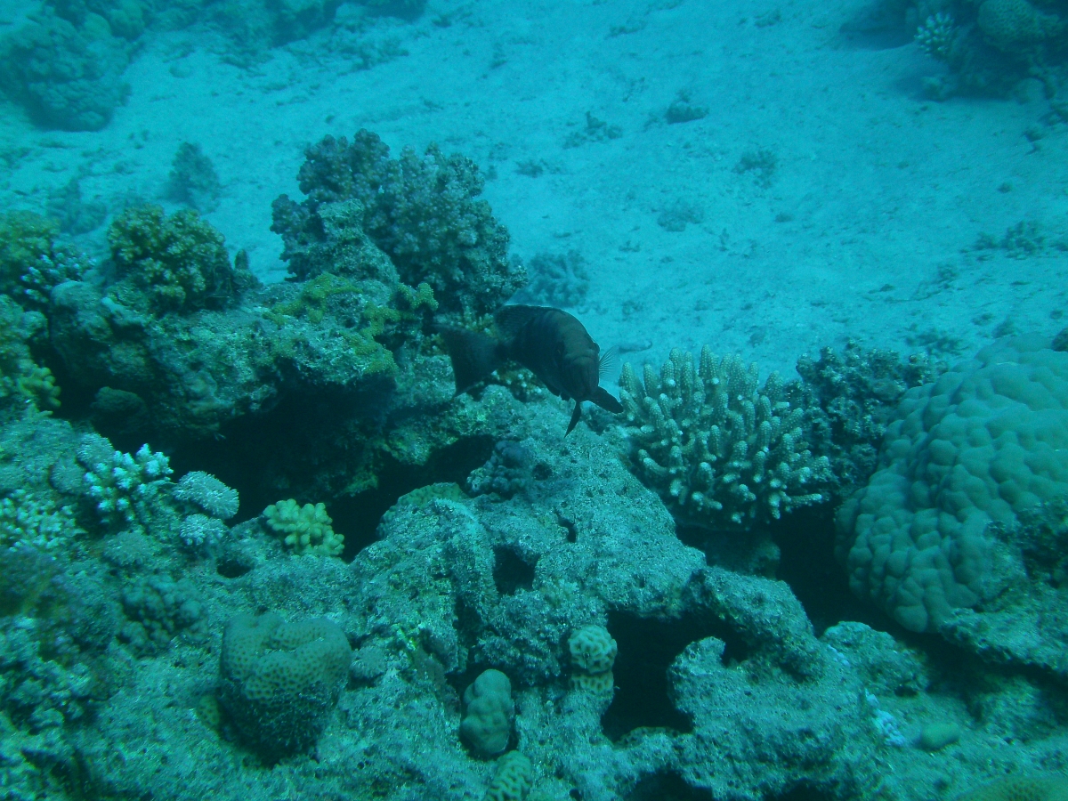 PICT0637.JPG
