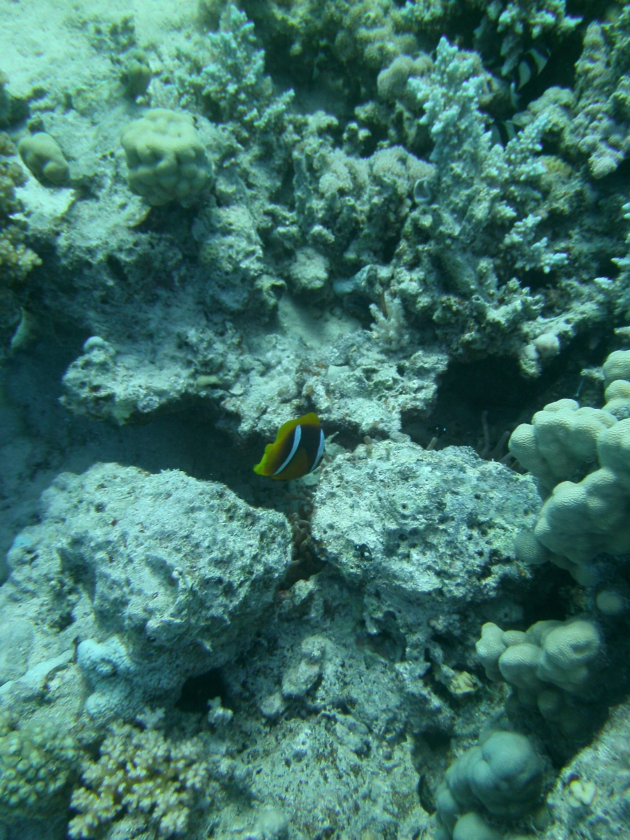 PICT0680.JPG