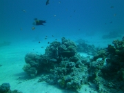 PICT0619