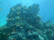 PICT0628