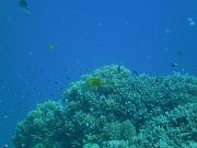 PICT0645