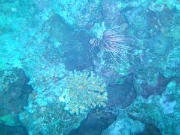 PICT0651