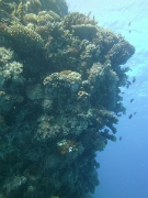 PICT0657