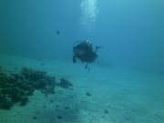 PICT0668