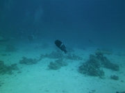 PICT0672