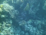 PICT0676