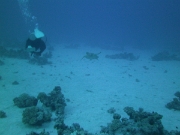 PICT0717