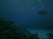 PICT0754