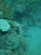 PICT0833