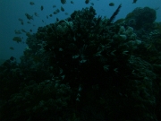 PICT0900