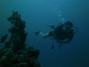 PICT0905