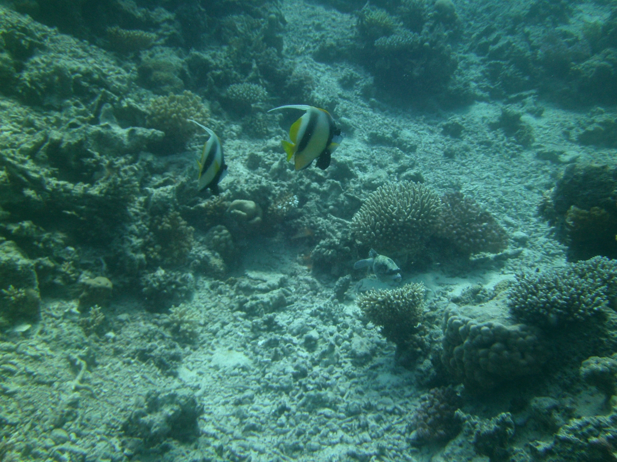 PICT0951.JPG