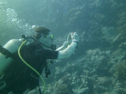 PICT0921