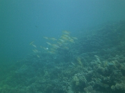 PICT0933