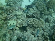 PICT0941