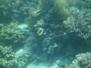 PICT0950