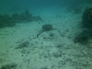 PICT0964