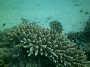 PICT0966