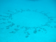 DSCF0715