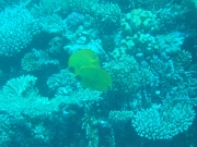 DSCF0731