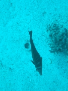 DSCF0738