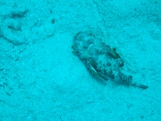 DSCF0747