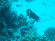 DSCF0751