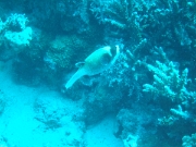 DSCF0755