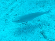 DSCF0757