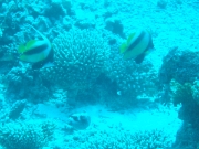DSCF0759