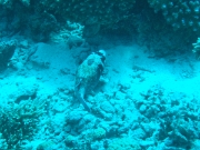 DSCF0760