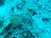 DSCF0761