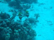 DSCF0762