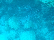 DSCF0764