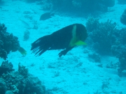 DSCF0767