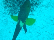 DSCF0768