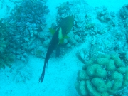 DSCF0769