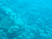 DSCF0784