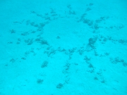 DSCF0790