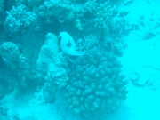 DSCF0791
