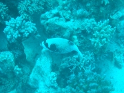 DSCF0792