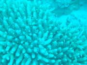 DSCF0803