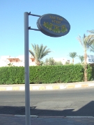 DSCF0372