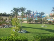 DSCF0377