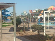 DSCF0380